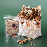 Organic Dried Red Reishi Mushroom