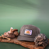 Cascadia Mushrooms Olive Cap