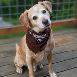 Cascadia Mushrooms Bandana