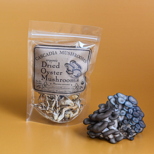 Organic Dried Oyster Mushrooms