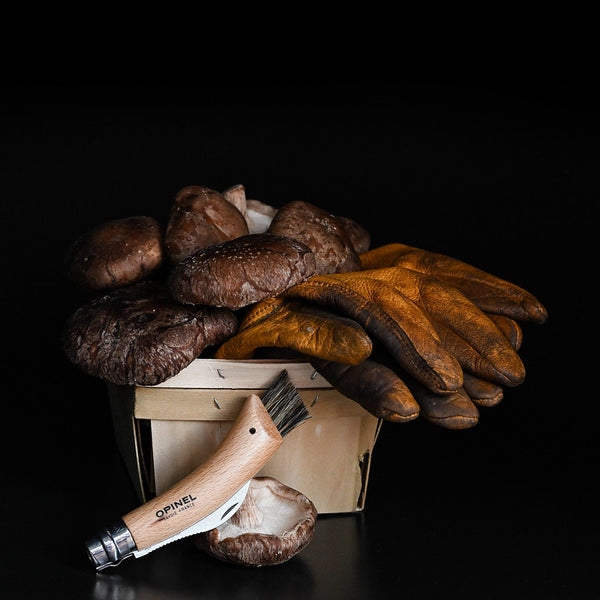 Mushroom Hunter's Knife