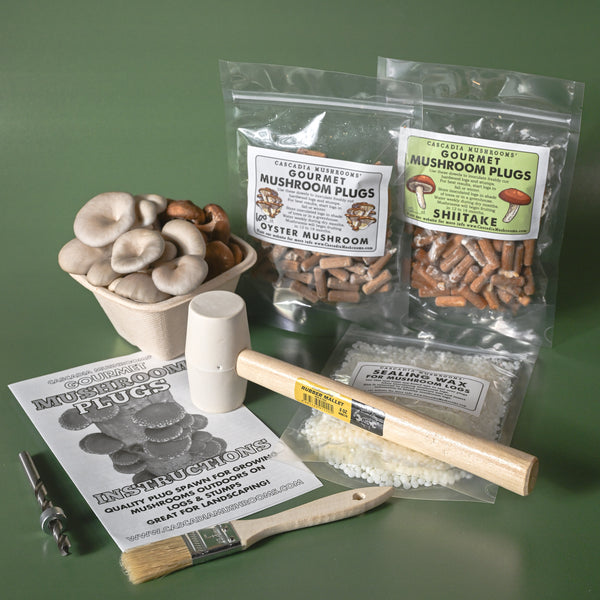Mushroom Plug Tool Kit