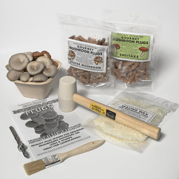Mushroom Plug Tool Kit