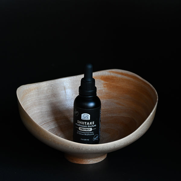Shiitake Tincture
