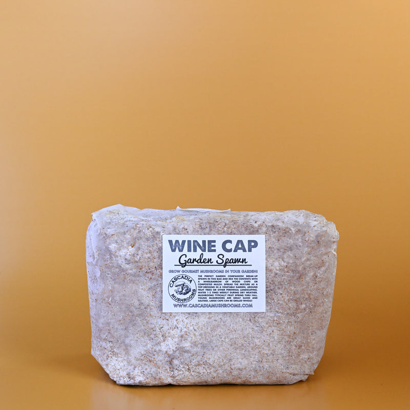 Wine Cap Stropharia Garden Starter