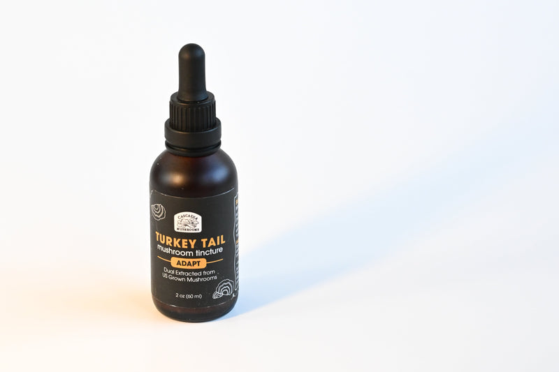 Turkey Tail Tinctures