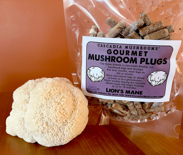Gourmet Lion's Mane  Mushroom Plugs