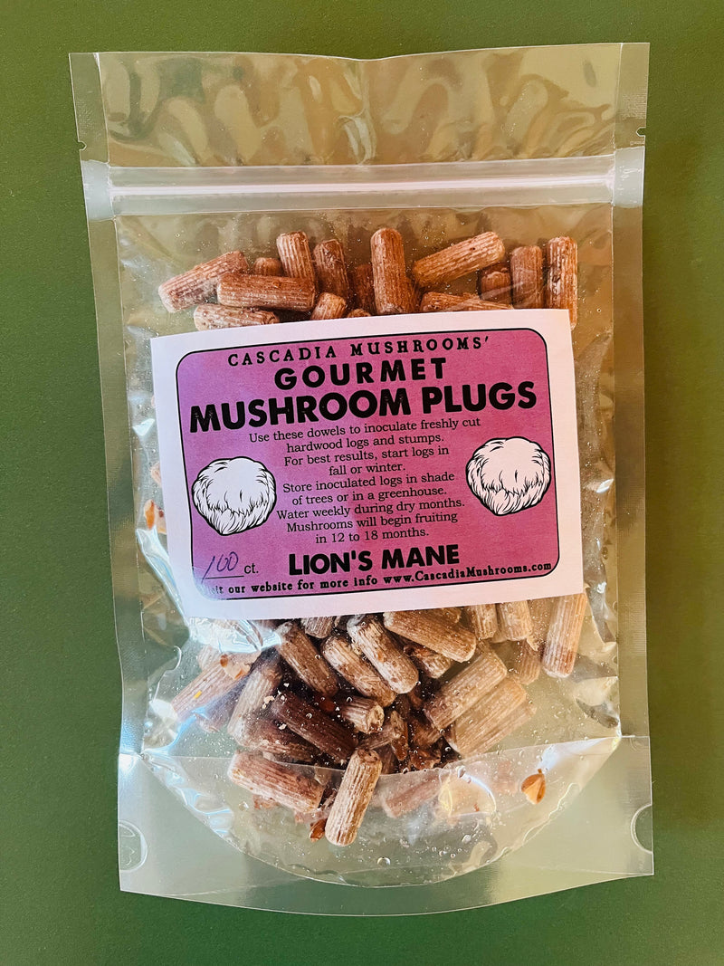 Gourmet Lion's Mane  Mushroom Plugs