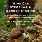 Wine Cap Stropharia Garden Starter